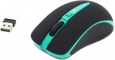  CANYON Wireless Optical Mouse <CNS-CMSW6G> (RTL)  USB  4btn+Roll  