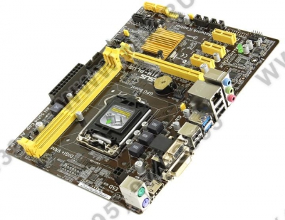  ASUS H81M-PLUS (RTL) LGA1150 <H81> PCI-E Dsub+DVI+HDMI  GbLAN SATA  MicroATX  2DDR3  